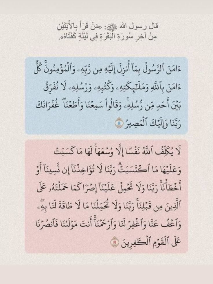 rem_Ams's tweet photo. #سيب_ايه_قرانيه https://t.co/F7LFUGG96L