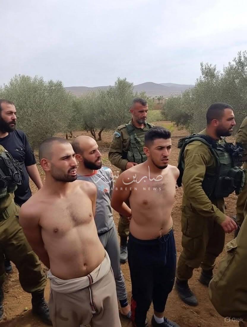 <a href="/umyi_a/">امية</a> 😆👇