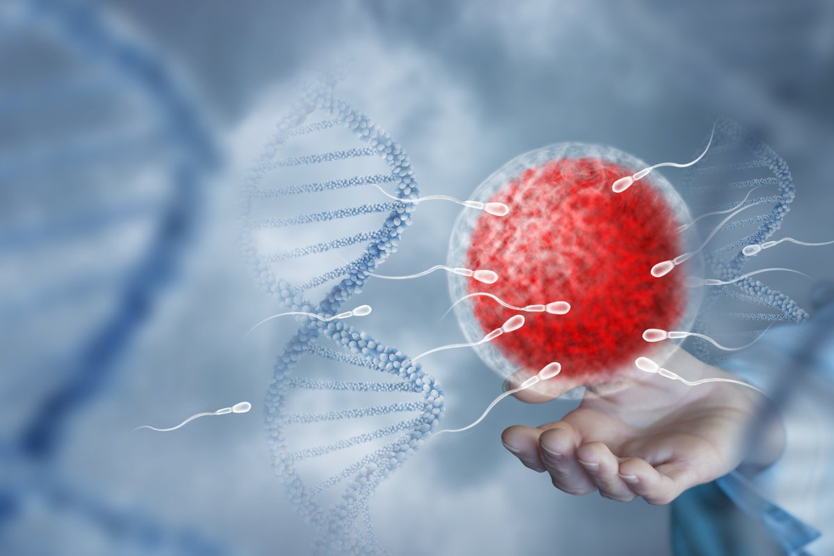 CreaBioarray's tweet image. Unlocking Fertility: How Sperm &apos;Rev Up&apos; Energy for Success! pnas.org/doi/10.1073/pn…