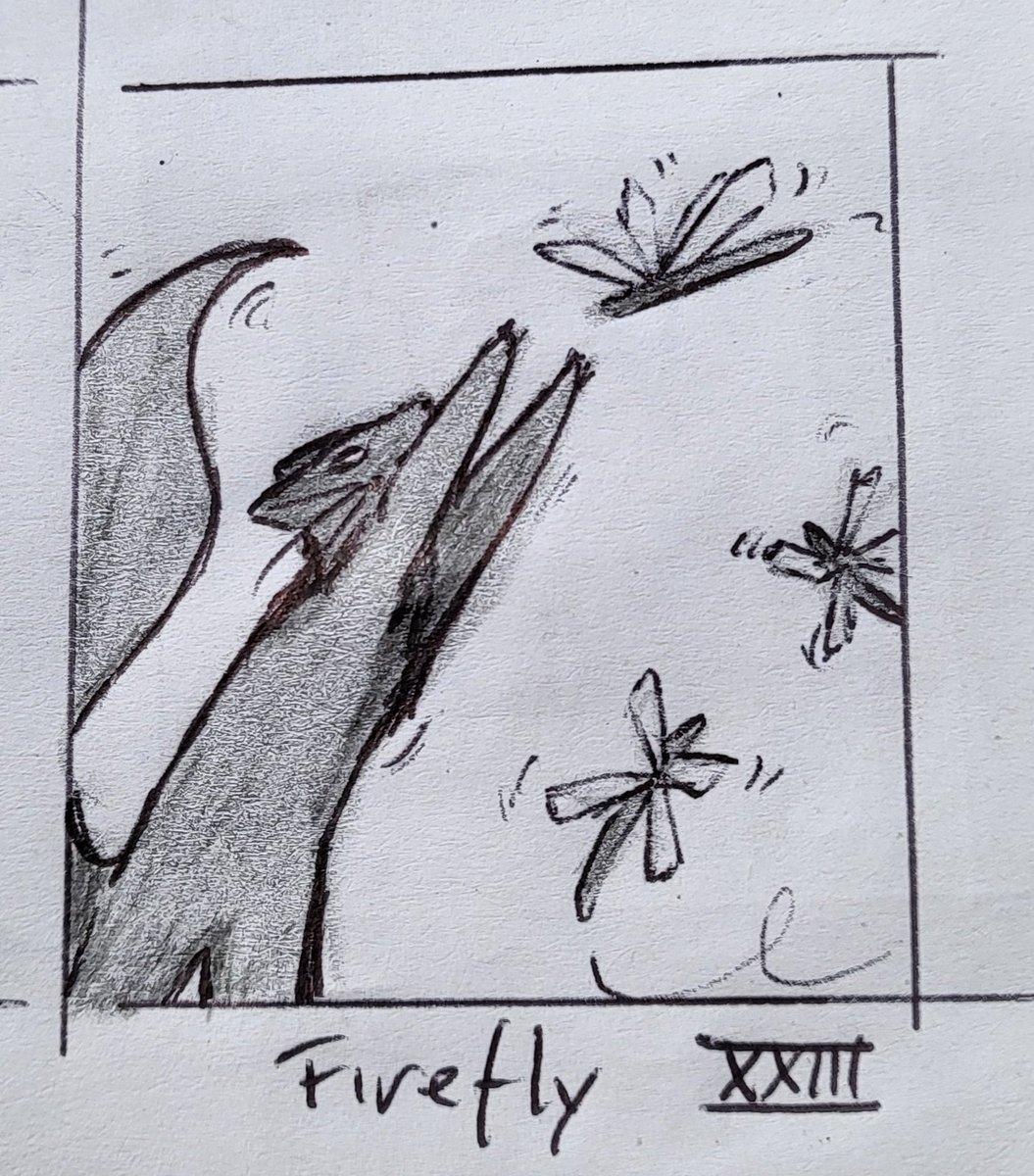 Day XXIII : Firefly