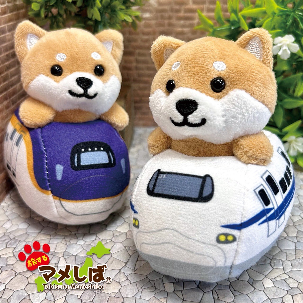旅するマメしば　福島限定7点セット 旅するマメしば (@tabi_mameshiba) / X