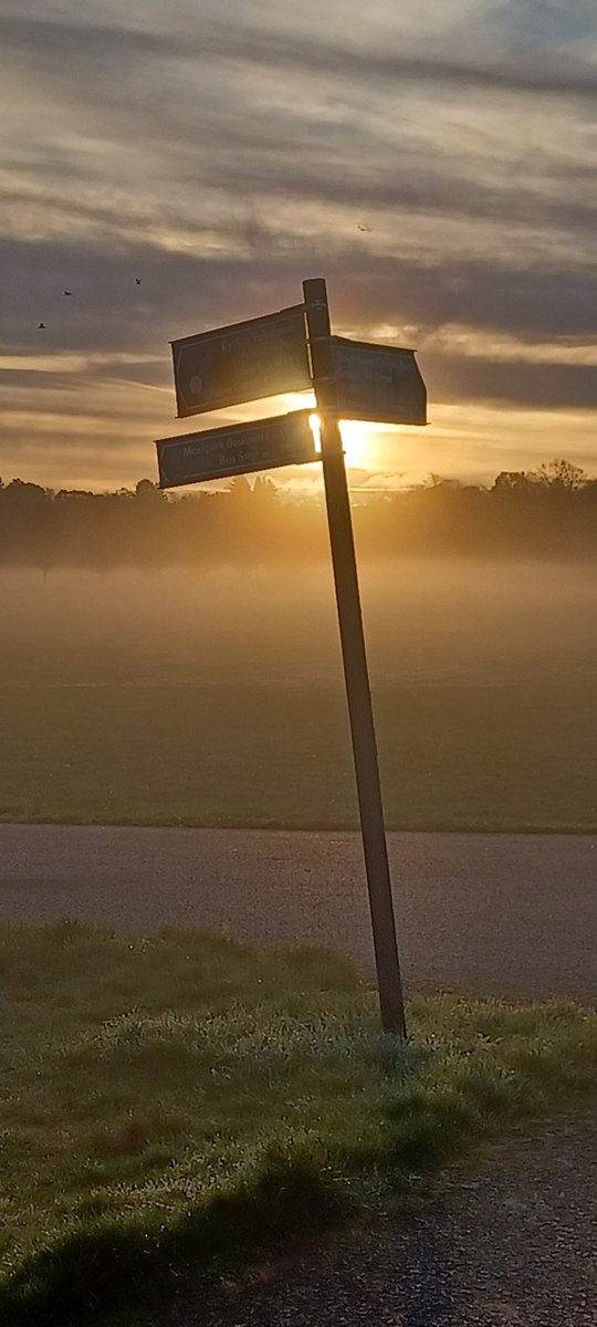 D L Z (@dlzfilms) on Twitter photo 