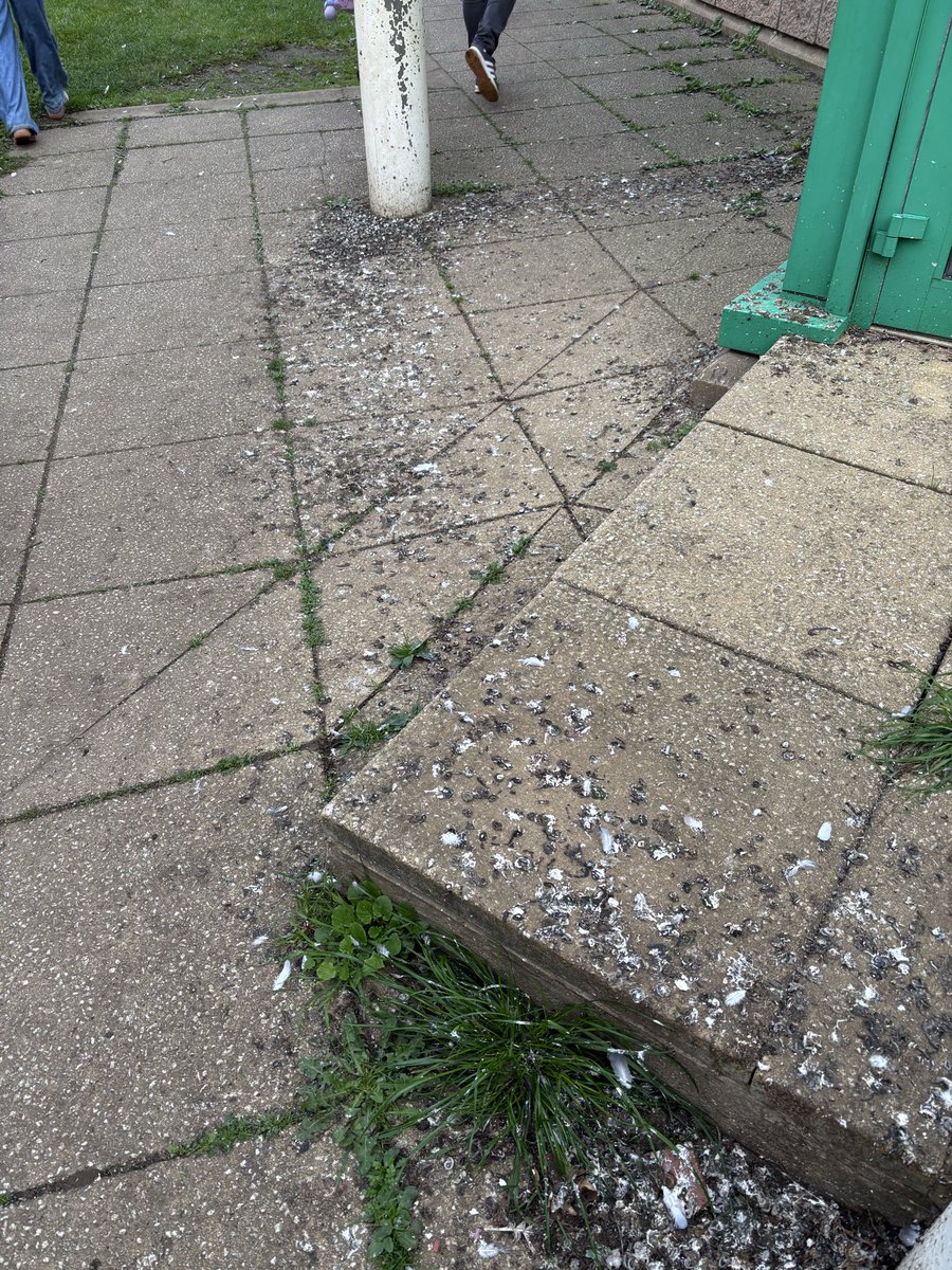 Laura Dodds tweet media