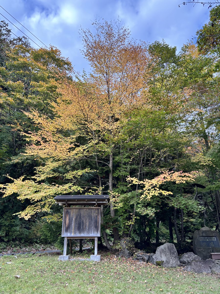 もうちょい早く行ったら会えてたなw

2025年10月23日のかっぱの湯（レストハウスの所）