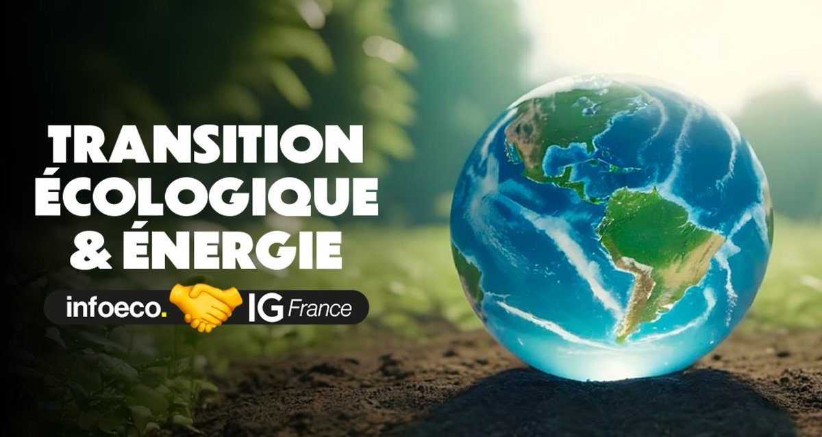 Infos Économiques tweet media