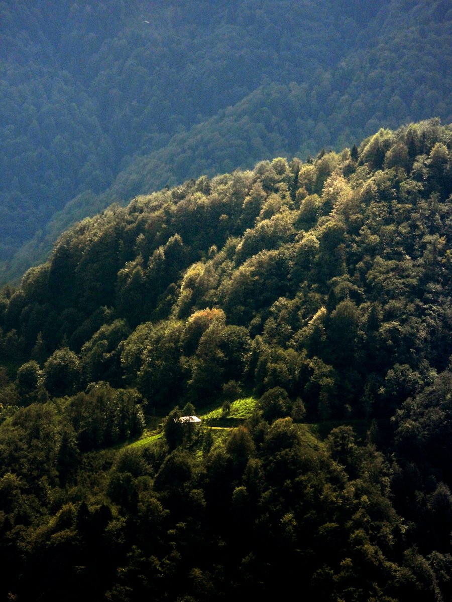 byfreemad's tweet photo. Trabzon
ziyaret edilecek 
bir yer değil ,
evdir. https://t.co/OuuwsMosFD