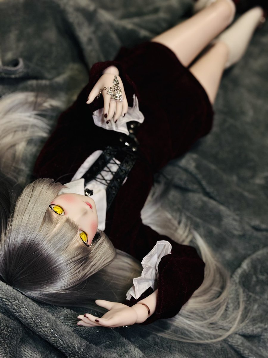 ゆゅ　chan cciyu Complete Suspension Kit Fits 04 05 06 07 08 09 10 11