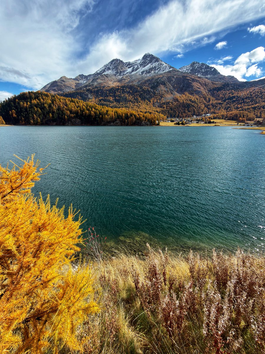Autumn 🍂 colors shot on #iPhone17ProMax #engadin