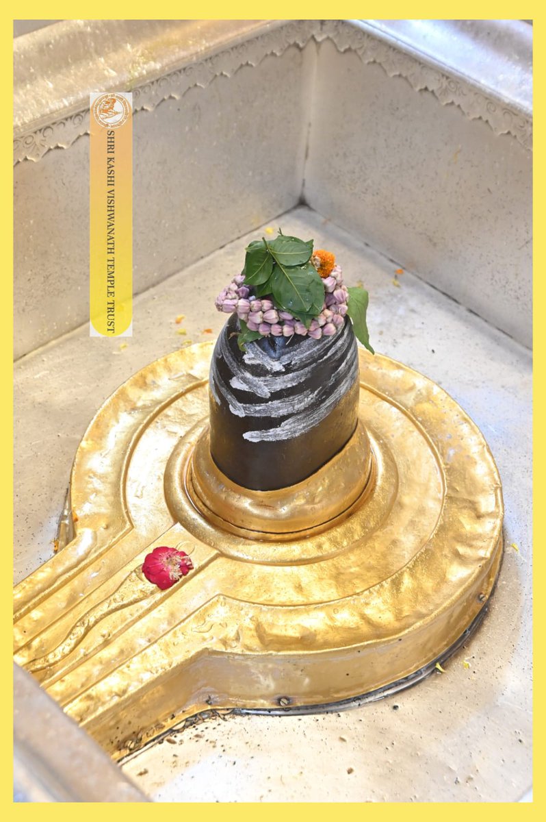 ShriVishwanath's tweet image. श्री काशी विश्वनाथ जी की मध्यान्ह-भोग आरती I
#kashi #darshan #kashivishwanath #VishwanathDham #blessings