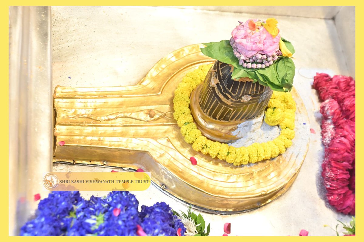 ShriVishwanath's tweet image. श्री काशी विश्वनाथ जी की मध्यान्ह-भोग आरती I
#kashi #darshan #kashivishwanath #VishwanathDham #blessings