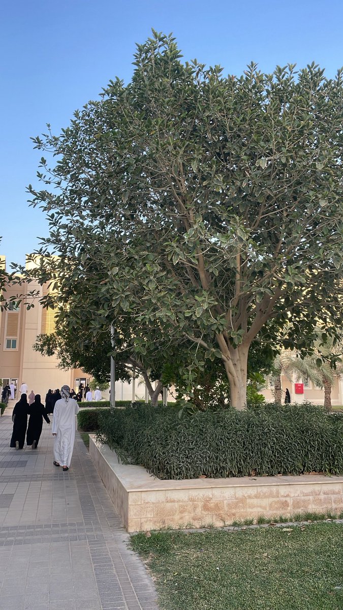 7h00d's tweet image. مقتـطفات الأسبوعع من غيرر شر ✅.