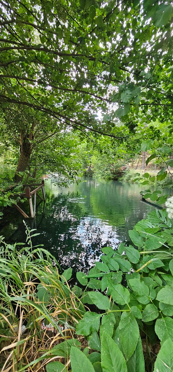 avebevecu's tweet photo. Yeşilırmak kıyısı/Almus/#Tokat https://t.co/WWLAdomkok