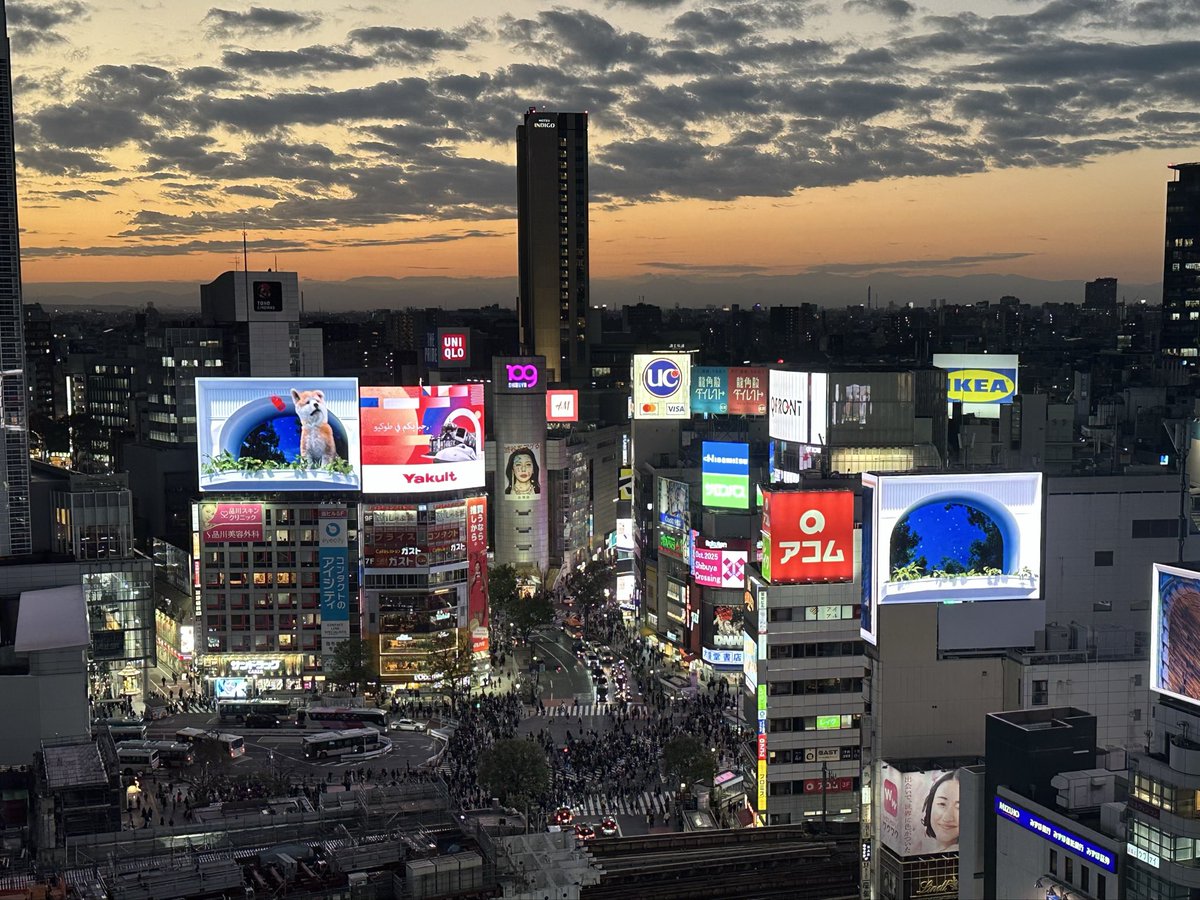 ninja_padrino's tweet image. Shibuya