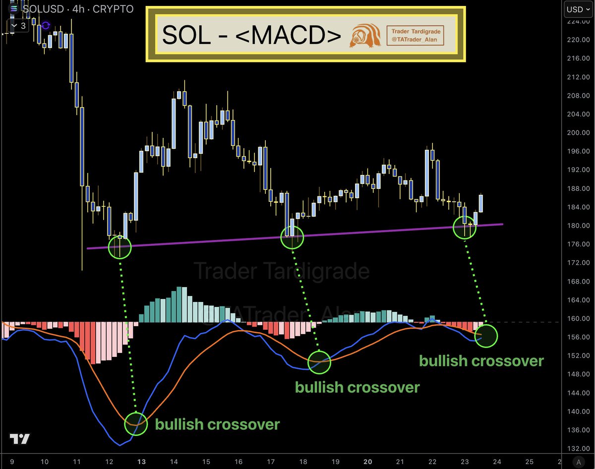 Trader Tardigrade on X