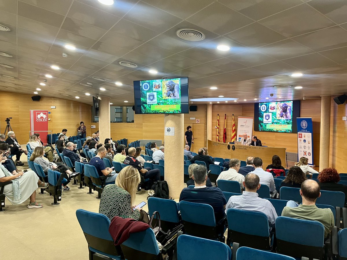 conselladvocat's tweet image. 🐒 Comencem amb la conferència inaugural “Projecte Gran Simi: Drets dels nostres germans”, a càrrec del naturalista Pedro Pozas Terrados @nautilusmar, director de GAP/PGS-España @ProyectoGranSim 

✅ Una reflexió sobre els límits i els valors de la protecció animal