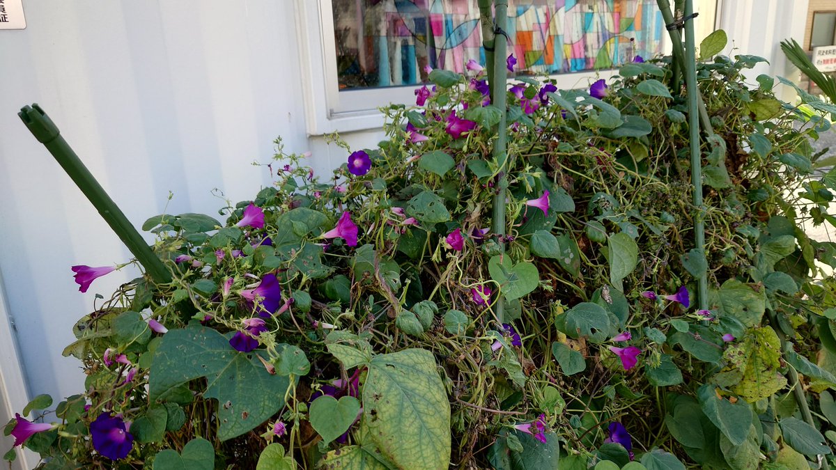 高ボッチ高原FM 89.4MHz on X