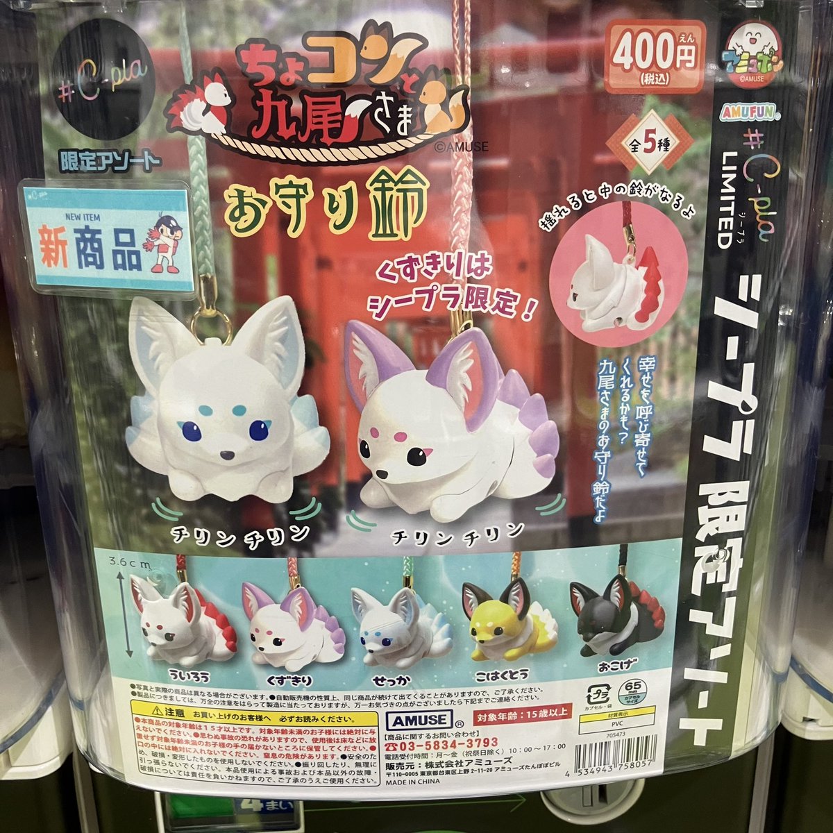 たぬきち　no3 C-pla狸小路5丁目北店【公式】 on X