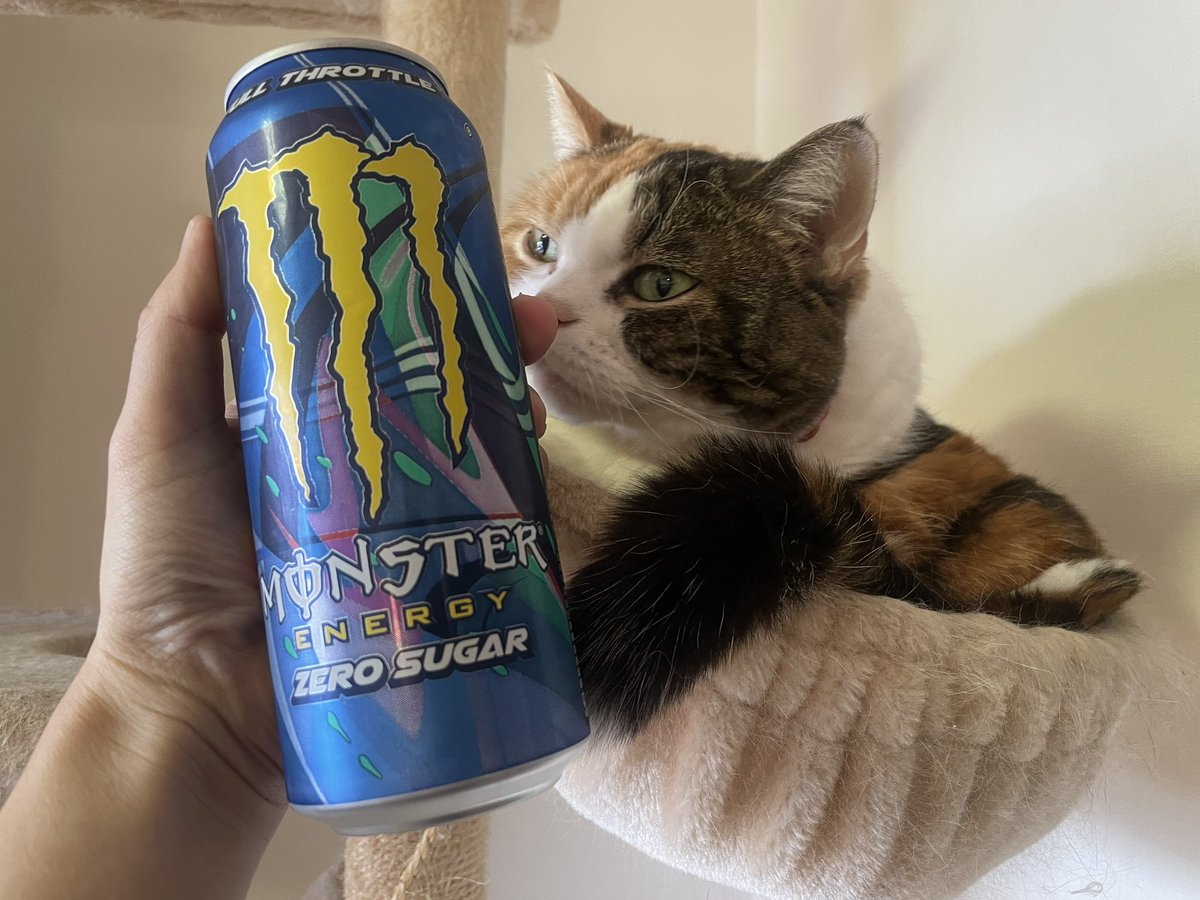 Pumpkin さんよろしくお願い申し上げます。 キン・シオタニの ムリしないけど時にがんばる 日めくり