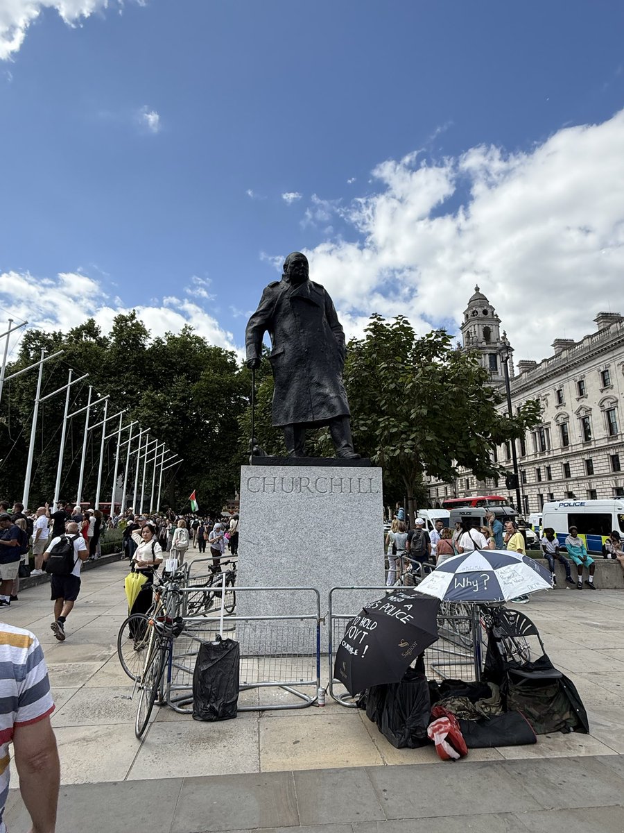 seanx23pfa's tweet image. 