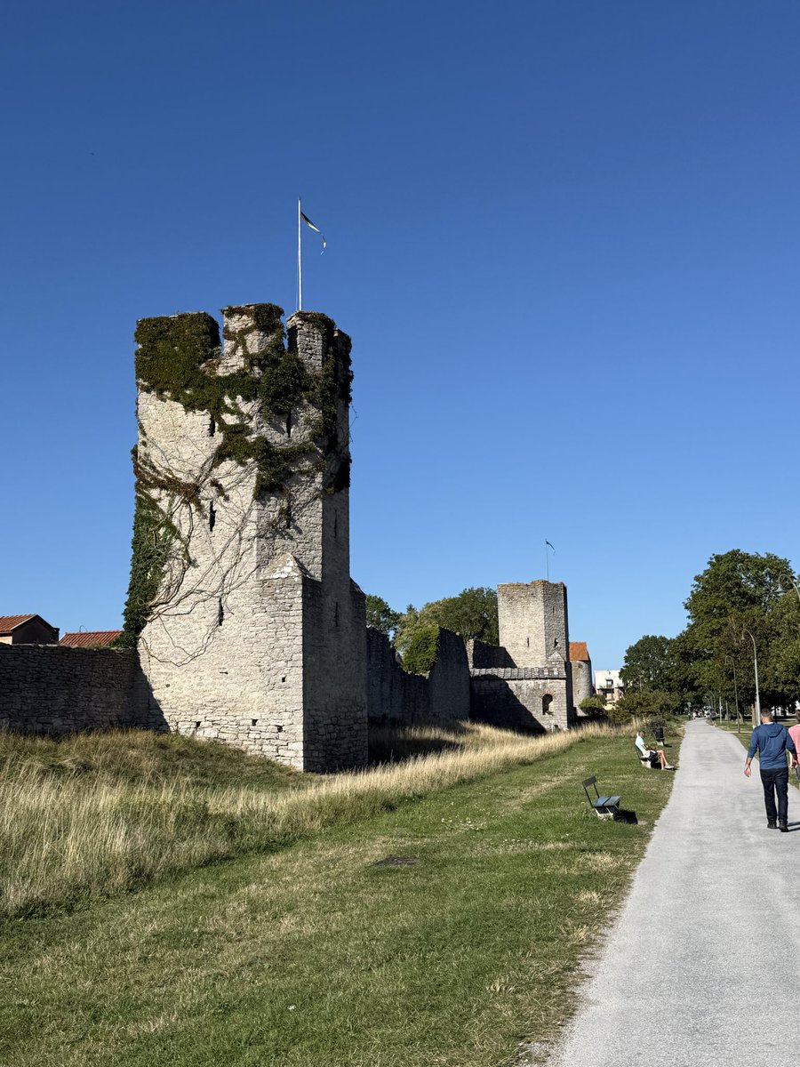 seanx23pfa's tweet image. 