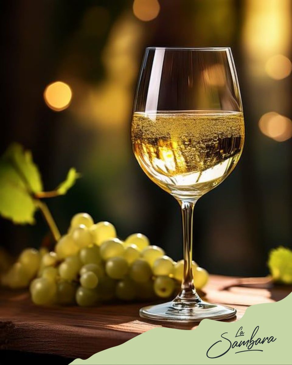 La Sambara Wines tweet media