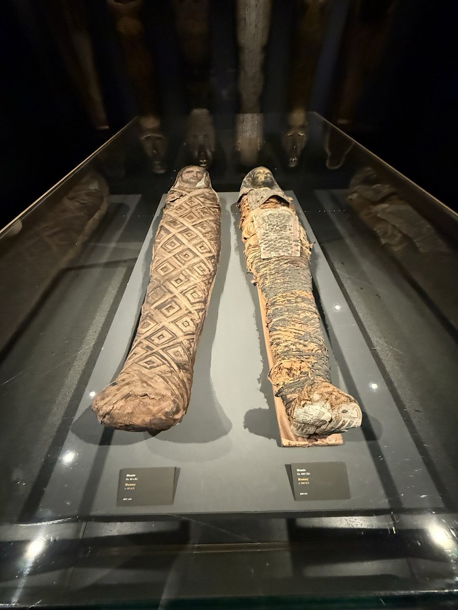 seanx23pfa's tweet image. 