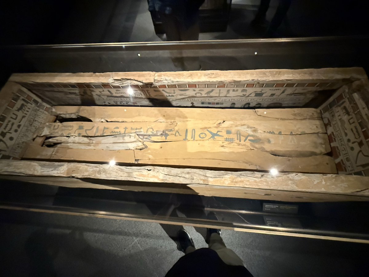 seanx23pfa's tweet image. 