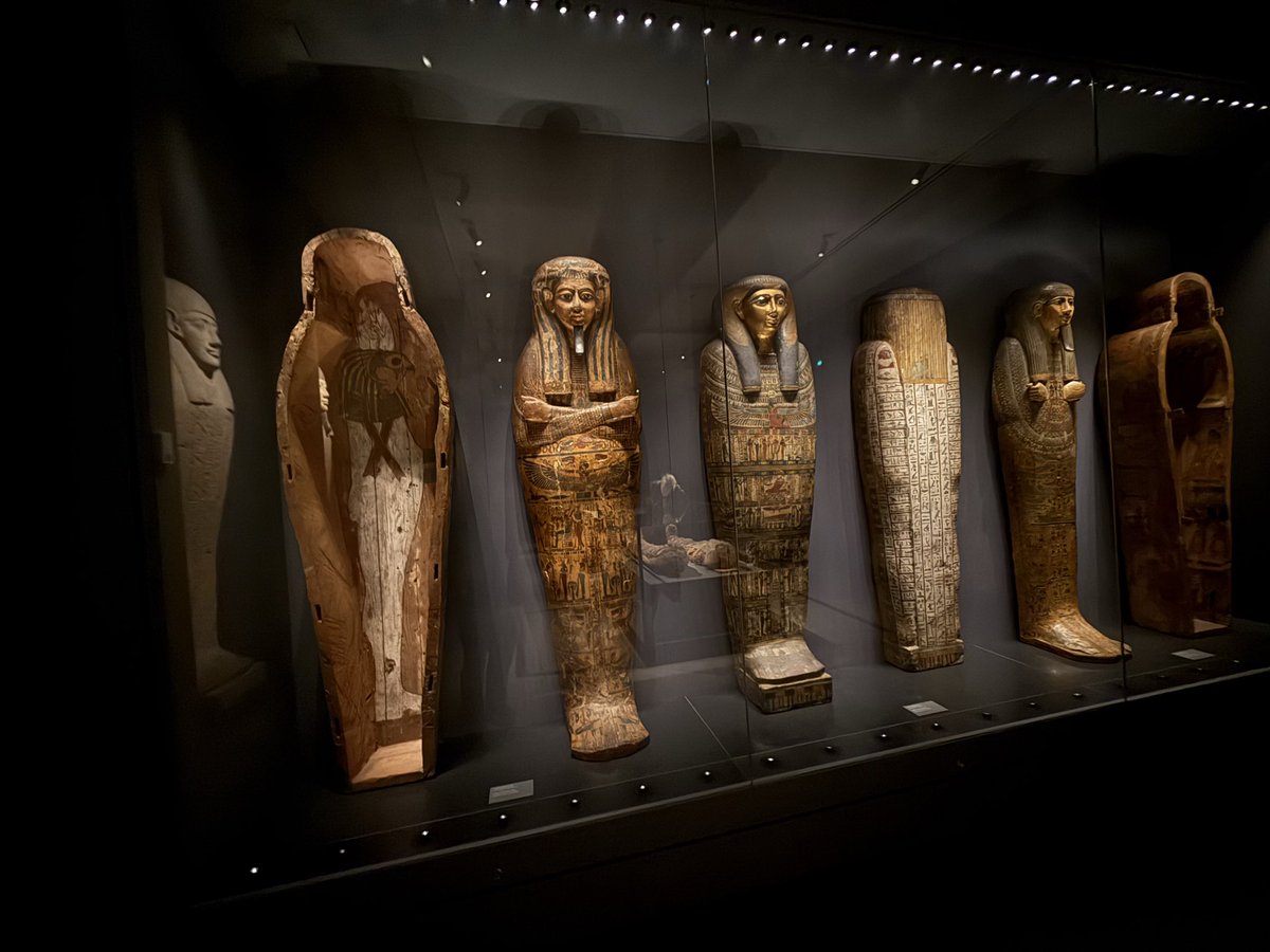 seanx23pfa's tweet image. 