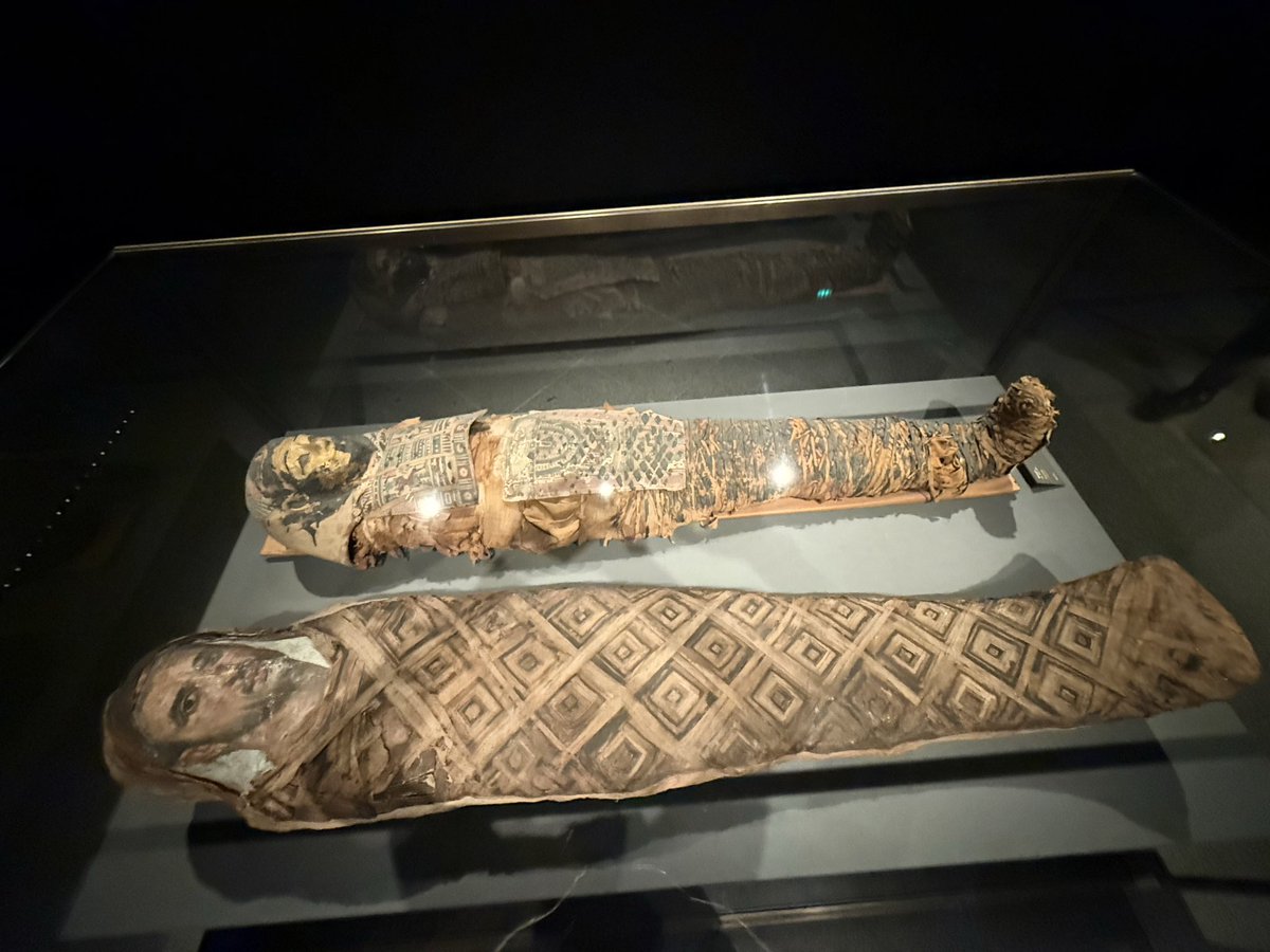 seanx23pfa's tweet image. 