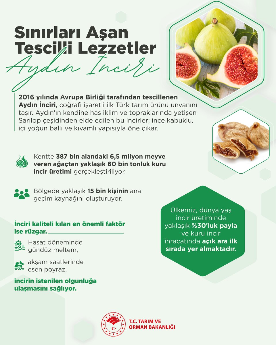 🤌 Sınırları Aşan Tescilli Lezzetler

🌱 Yüzyıllardır Aydın’ın iklimiyle olgunlaşan, güneşiyle tatlanan Aydın İnciri, Türkiye’nin Avrupa Birliği tescilli ilk tarım ürünü olma gururunu taşıyor. 🇹🇷

🌿 Her lokmasında doğanın bereketi, emeğin değeri ve geleneğin izleri saklı.