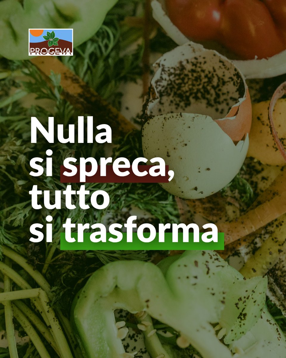 Rifiuti oggi, risorse domani♻️ 🌱
Parola d’ordine #differenziare🗑

ℹ È fondamentale che i rifiuti organici conferiti presso gli impianti di trattamento siano privi di impurità: prerequisito essenziale per trasformarli in #compost e #biometano restituendo benefici all'ambiente.