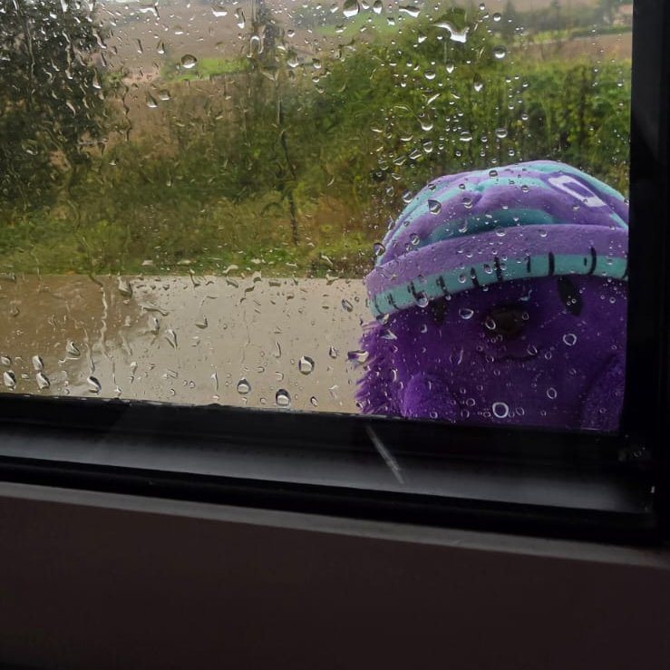 0xDOCTEUR's tweet photo. Even in the storm, he stands tall.
Silent. 
Unshaken.

Anyone can shine under the sun!
But it’s in the storm that the real ones stand out.

Gmonad 💜

#FUTUREISPURPLE https://t.co/BK967Tdf5V