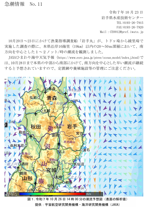 iwate_iftc's tweet image. 10月20日から10月23日にかけて、漁業指導調査船「岩手丸」が本県沿岸で１～２ノット/時の潮流を観測しました
JAXAひまわり海中天気予報（eorc.jaxa.jp/ptree/ocean_mo…）では、10月28日まで本県の中部から南部にかけて、早い潮流が継続すると予想されています。定置網や養殖施設等の管理にご注意ください。