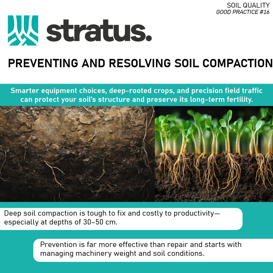 STRATUS is sharing the knowledge collected accross Eurpe to promote a more sustainable way to use fertilizers building a better future for agriculture.

👇Learn more here 👇
stratusproject.eu/wp-content/upl…