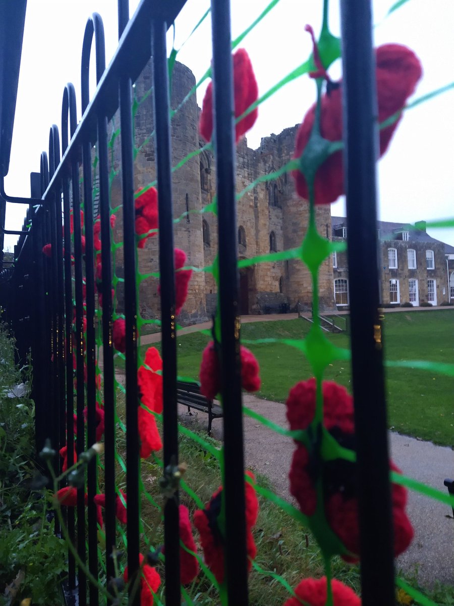 poppytonbridge's tweet photo. Knitted poppies installed at @TonbridgeCastle this morning in the wind and rain, signalling the start of the @PoppyLegion appeal. Volunteers will be in @sainsburys and on the High Street until Remembrance Sunday. https://t.co/HjQdXD5kau