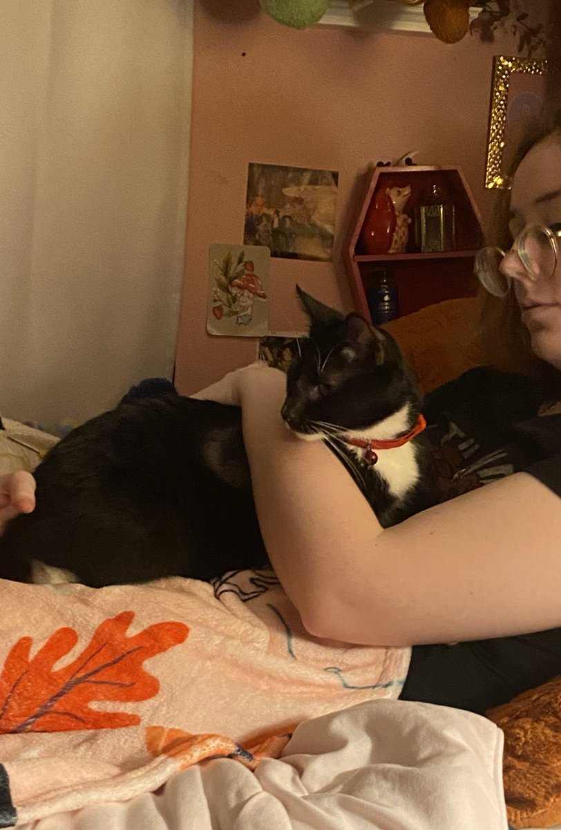 dilemmamc's tweet image. Figaro is back in the hospital with DKA, so he’s in critical condition. please pray for my boy or send him good vibes or just anything you can. 

thank you so much.