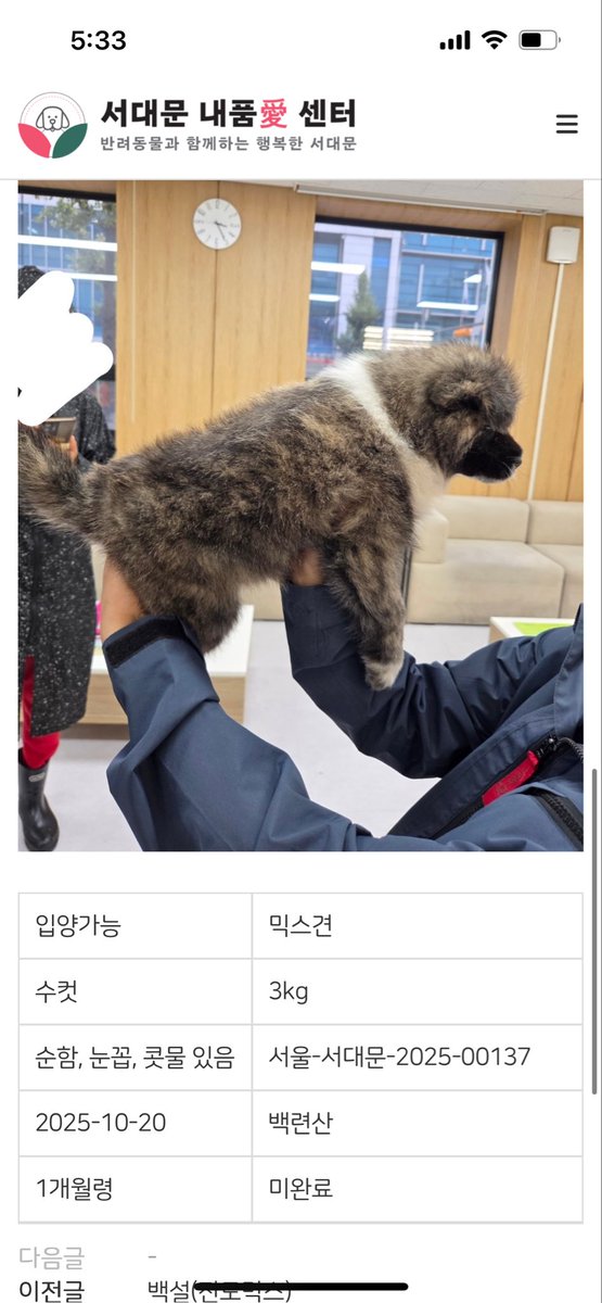 지금 산책카톡방에서 난리남
요 𝔴𝔥𝔦𝔱𝔢 𝔪𝔞𝔤𝔫𝔬𝔩𝔦𝔞 𝔪𝔬𝔲𝔫𝔱𝔞𝔦𝔫 𝔡𝔬𝔤 때문이지