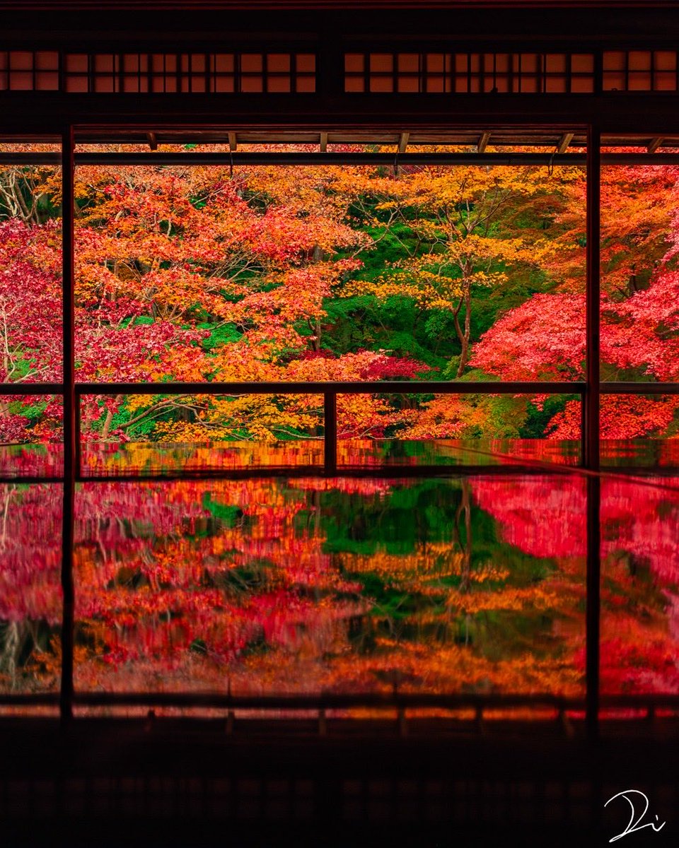 紅葉に染まる書院🍁