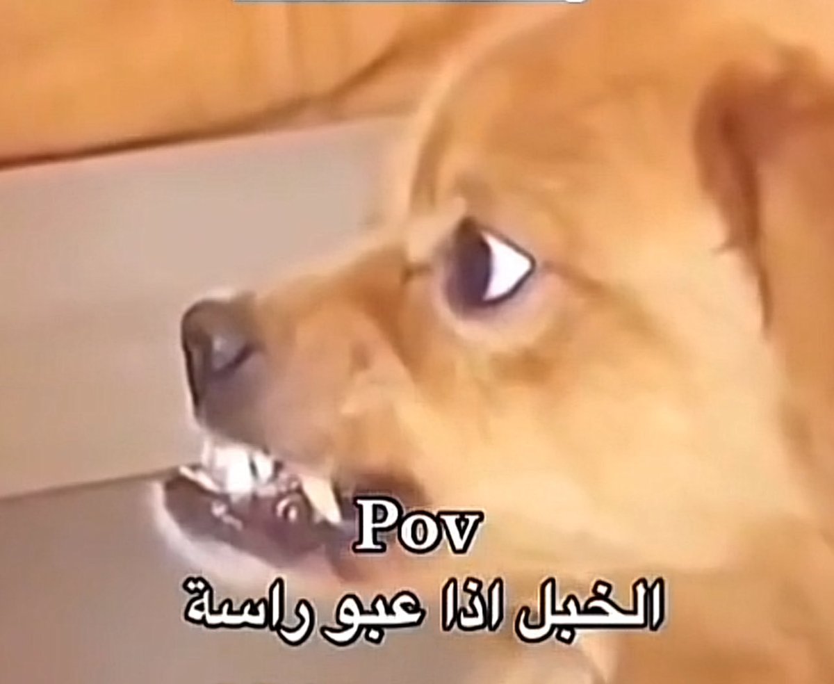 _8cix's tweet photo. @wxertu @lixoeo ابشري ابشري بجيبه بكره https://t.co/VYqCF9DgOL