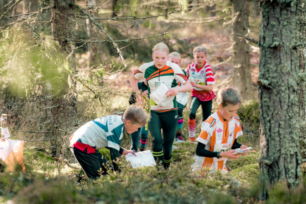 Halikko-viesti tweet media