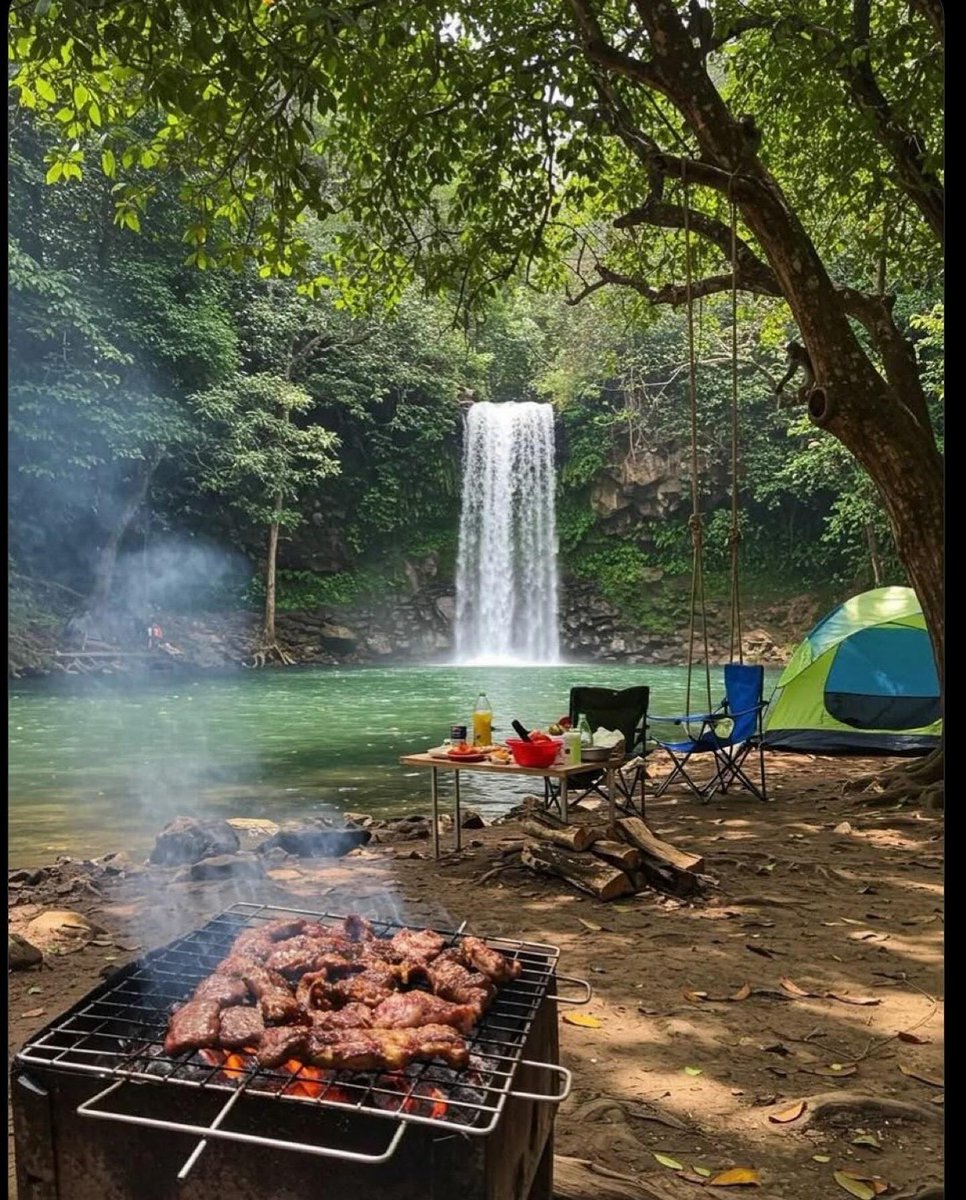 KulbikC's tweet image. gm if you gm 🖤