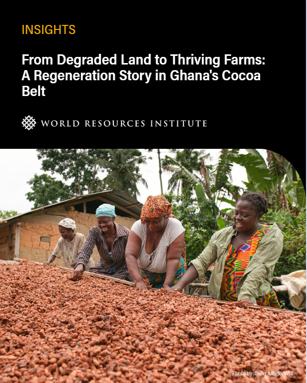 restoreforward's tweet photo. 🌳 “The bees give them a reason to leave the trees standing.” In Ghana’s cocoa belt, land restoration = resilience. ​🐝

Read how farmers are restoring land &amp; livelihoods:👉 https://t.co/KKiDIzSxlg  ​

@WCA2025 #CocoaAndForests #RestoreLocal #TerraFund https://t.co/RtgnM3RvRq