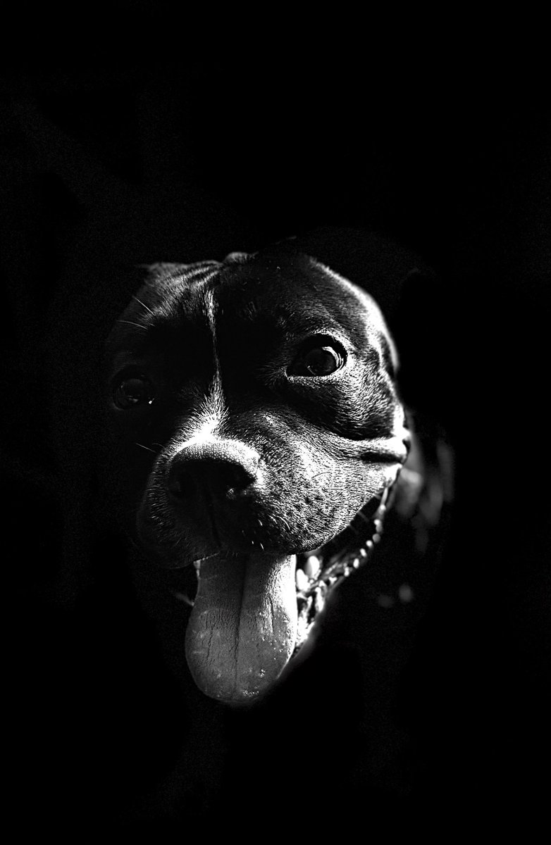 seanx23pfa's tweet image. 