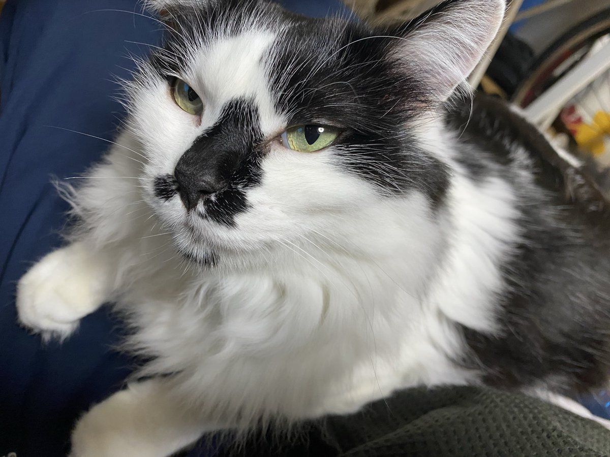 モコ様 Backcountry 30L Motorcycle Duffle Bag | Mosko Moto