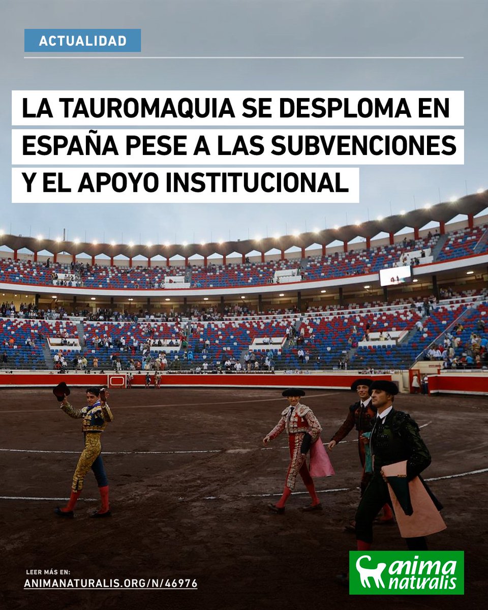AnimaNaturalis's tweet photo. 📊 🐂🇪🇸 Los datos muestran que la tauromaquia no está creciendo, sino resistiendo a base de subsidios y políticas de promoción dirigidas a los jóvenes.

👉 Lee el análisis de la última Encuesta de Hábitos y Prácticas Culturales del Ministerio de Cultura: https://t.co/yrUAi3bwHL