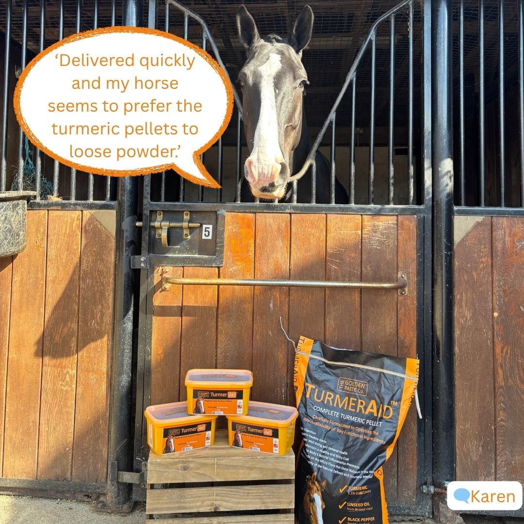 The GoldenPasteCompany tweet media