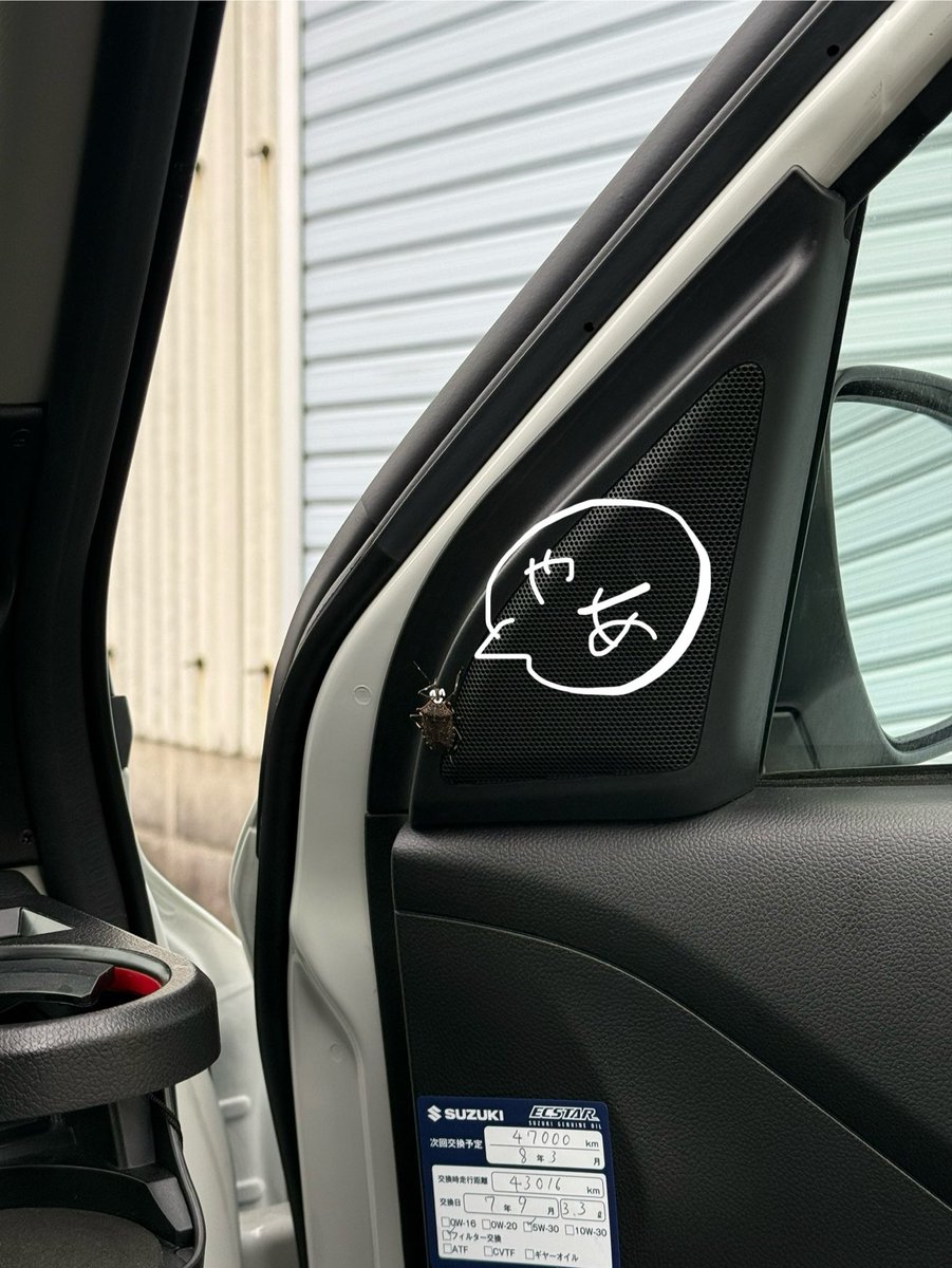 だいぶ勘弁してほしいかも