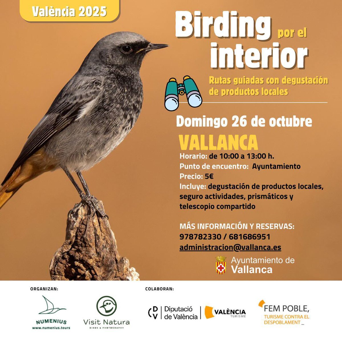 Descubre el interior de València con nuestras rutas de #Birding. 

📍Vallanca
🗓️Domingo 26 de octubre  

¿Te animas?

#València #Valènciaturisme #Comunitatvalenciana <a href="/VisitNatura/">Visit Natura</a> <a href="/dipvalencia/">Diputació de València</a>