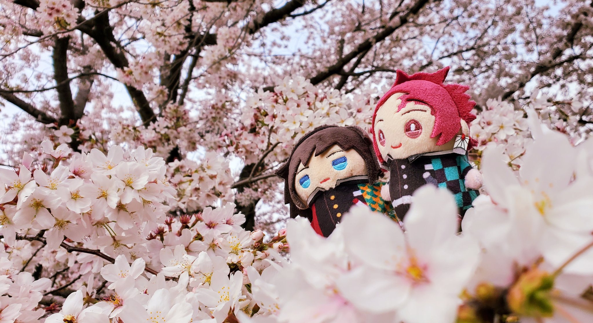 ヨナ@ぎゅったんA04 on X: 