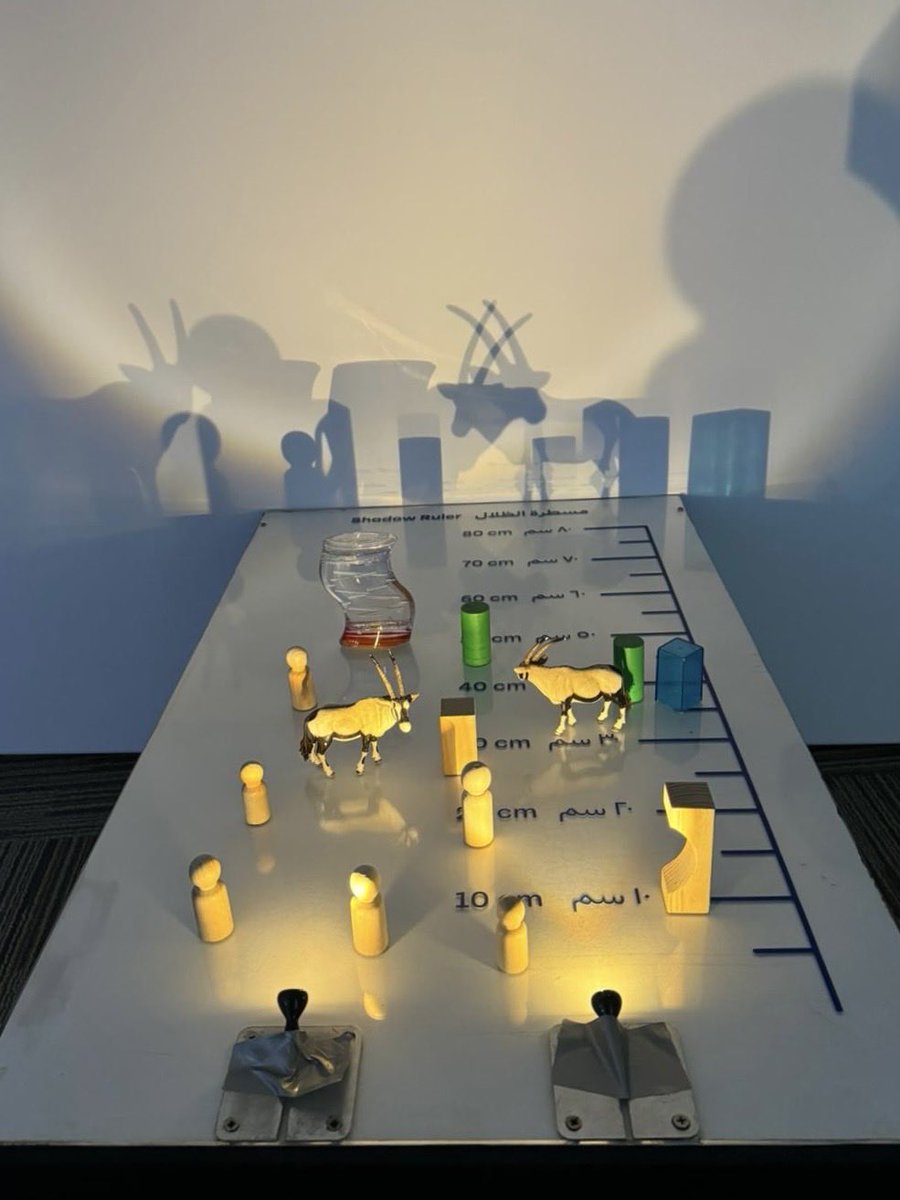 كلية التربية tweet media